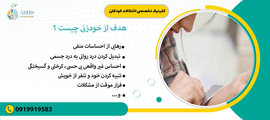 هدف از خودزنی چیست
